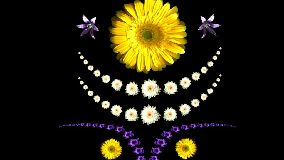 GEMINI -the star-